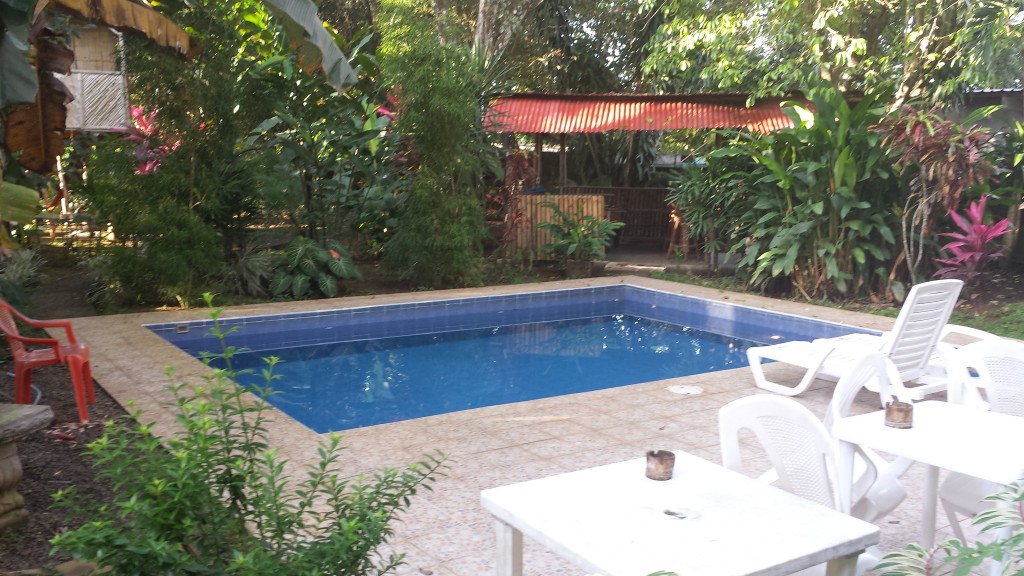 Bambu Hostel pool