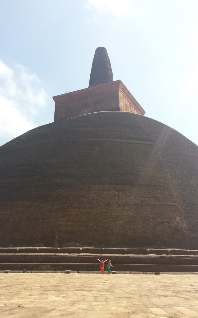 Brun stupa Anne og Tora3 (klippet)