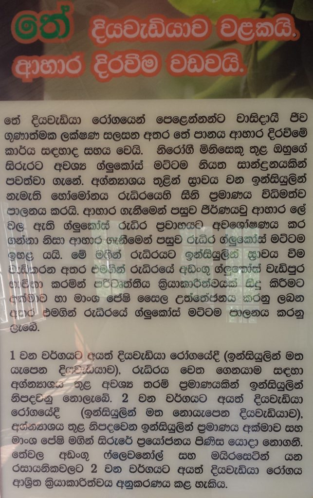 Kandy temuseum planche singalesisk skrift2 (klippet2)